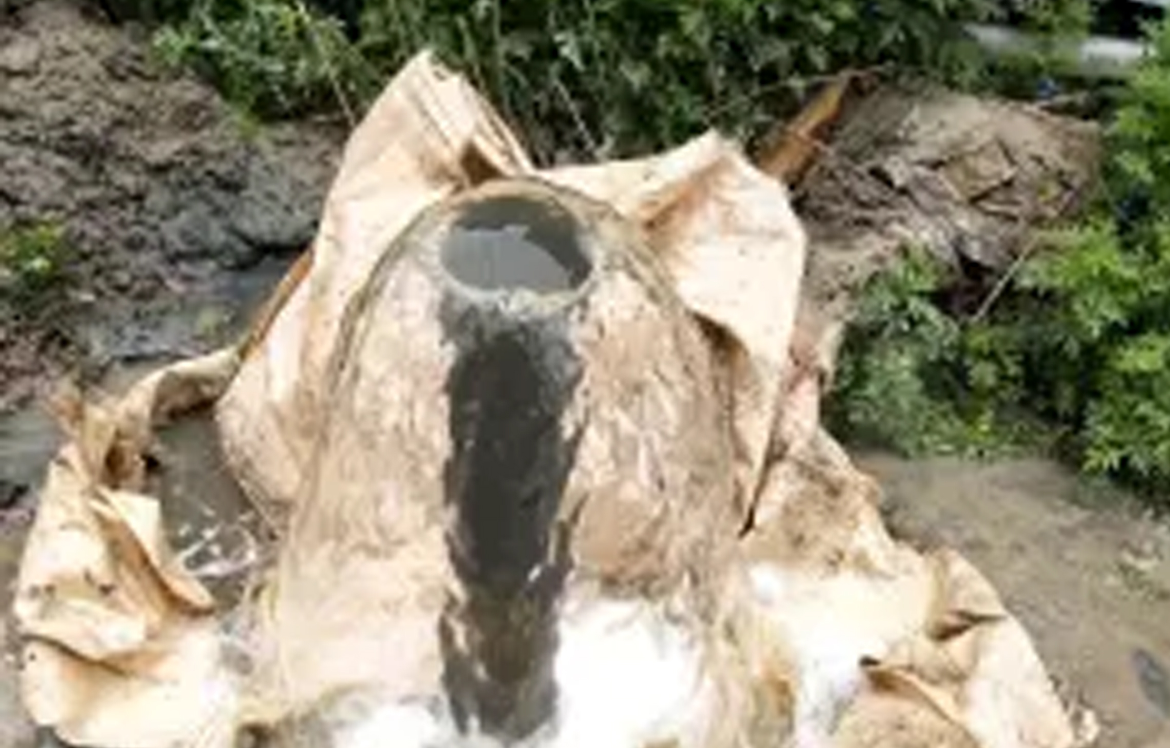 临沂农村专业打井要多少钱